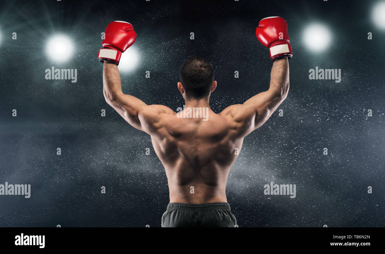 Boxer champion enjoying his victory on lights and standing back to the camera, black studio background Stock Photo
