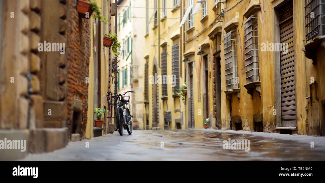 Bicycles parked on beautiful medieval streets of Lucca city, known for