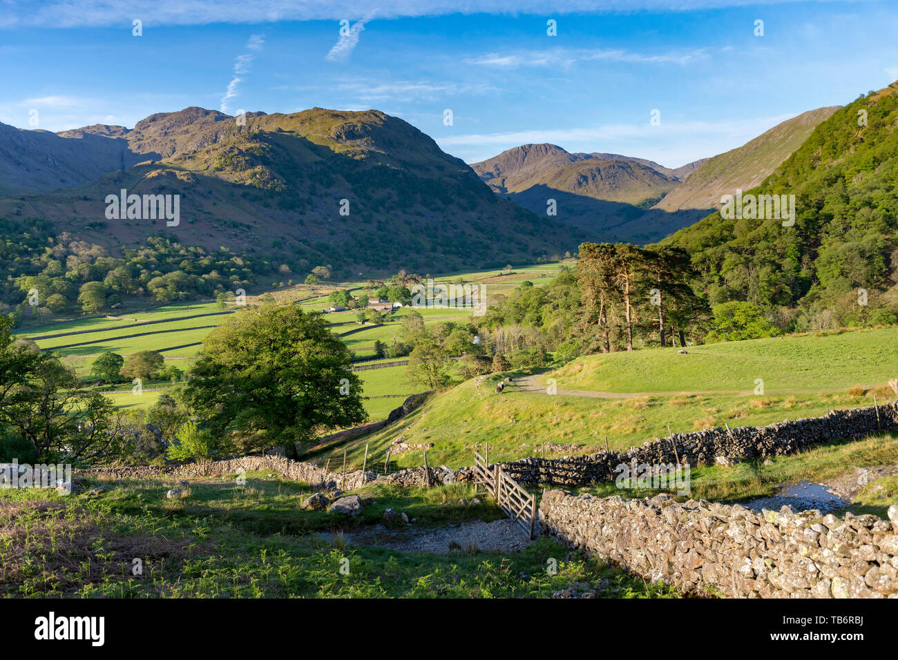 The view looking down onto Seatoller, Borrowdale Valley, with farm buildings  in the Borrowdale Valley, Cumbira, Lake District National Park UK. Stock Photo