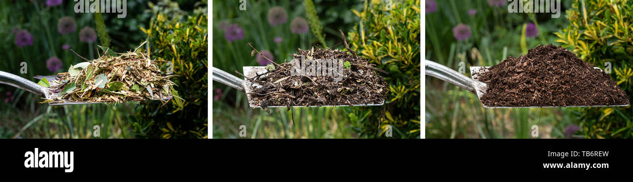 Three images showing shredded, partial decomposition and well rotted compost. Stock Photo