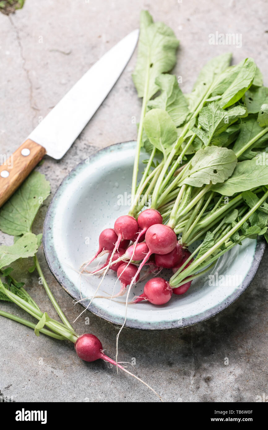 Fresh bunch of radish on concrete background Stock Photo