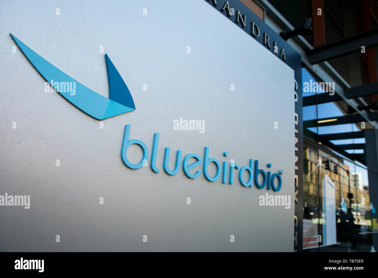 A logo sign outside of the headquarters of bluebird bio in Cambridge, Massachusetts on April 29, 2019. Stock Photo