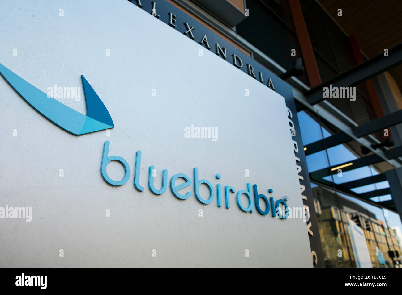 A logo sign outside of the headquarters of bluebird bio in Cambridge, Massachusetts on April 29, 2019. Stock Photo