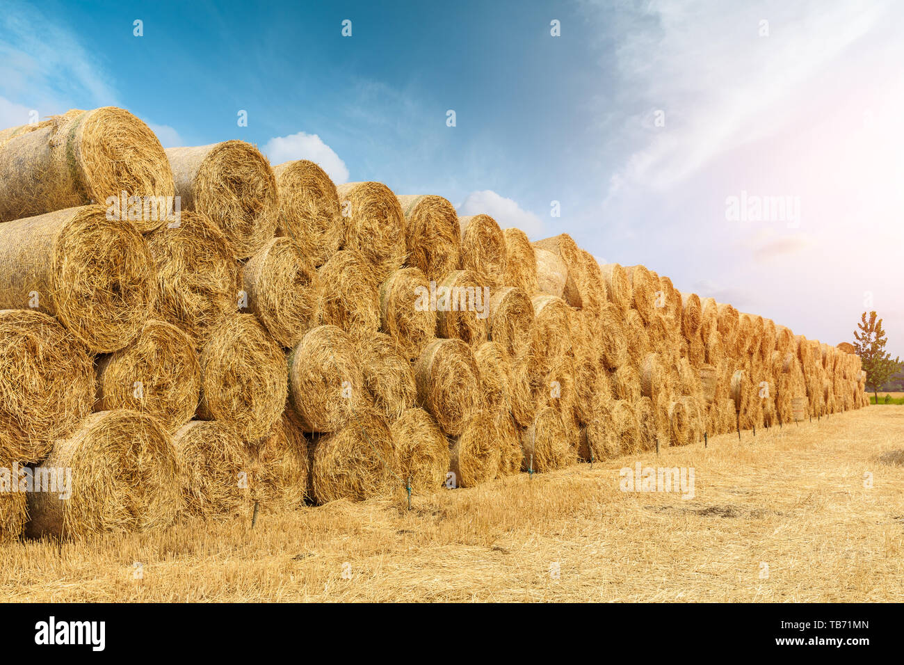 Straw bales on farmland with blue cloudy sky Stock Photo Alamy