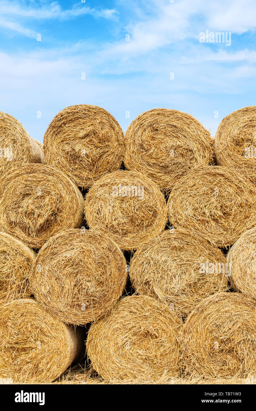 Straw bales on farmland with blue cloudy sky Stock Photo - Alamy