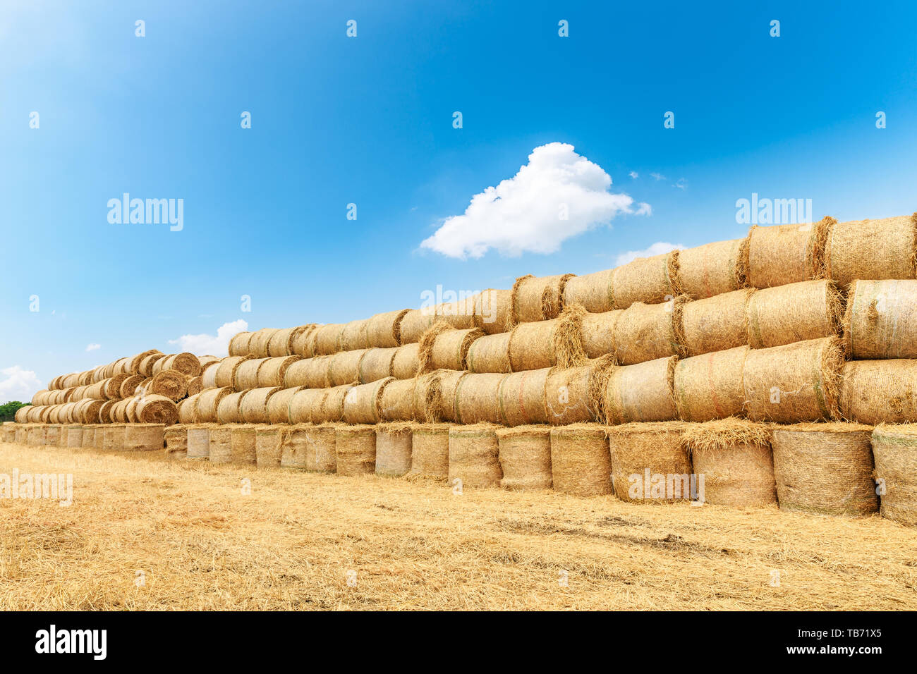 Straw bales on farmland with blue cloudy sky Stock Photo - Alamy