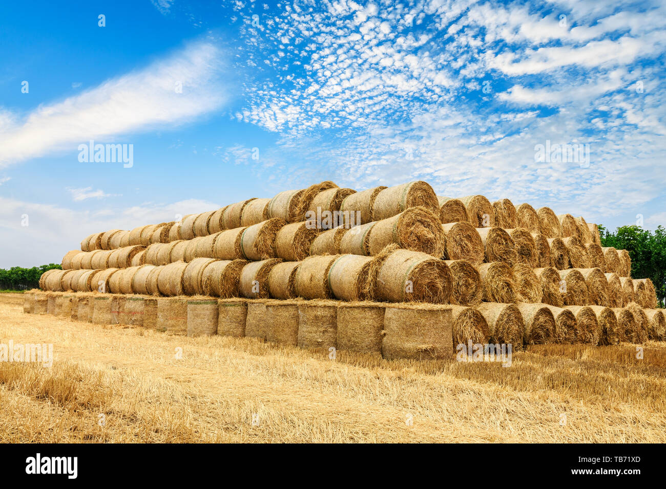 Straw bales on farmland with blue cloudy sky Stock Photo - Alamy