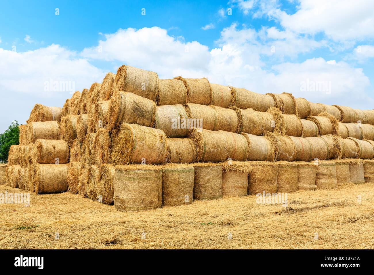 Straw bales on farmland with blue cloudy sky Stock Photo - Alamy