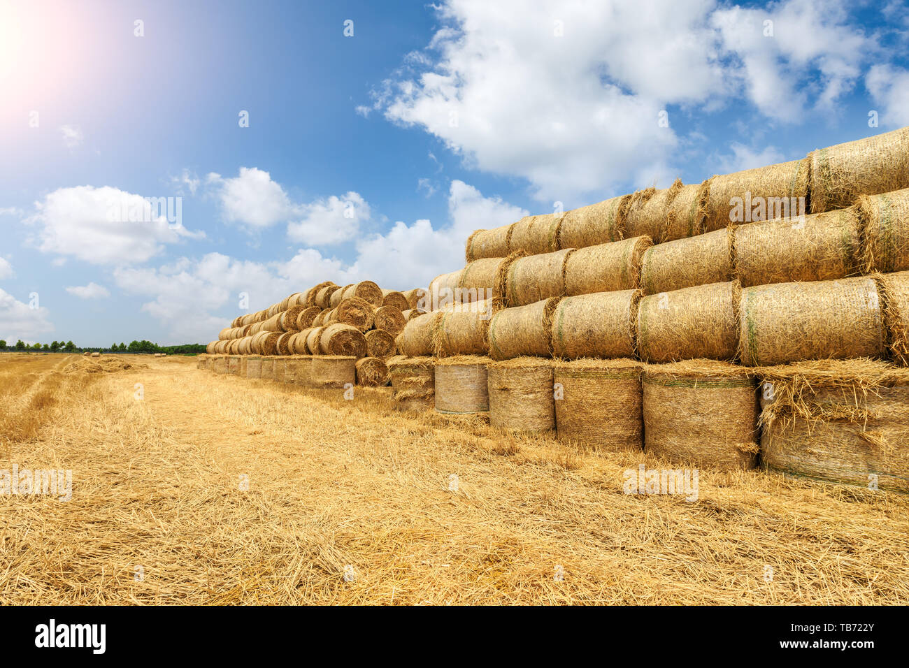 Straw bales on farmland with blue cloudy sky Stock Photo - Alamy