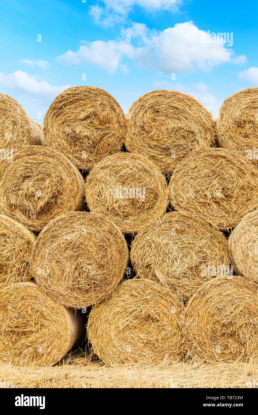 Straw bales on farmland with blue cloudy sky Stock Photo - Alamy
