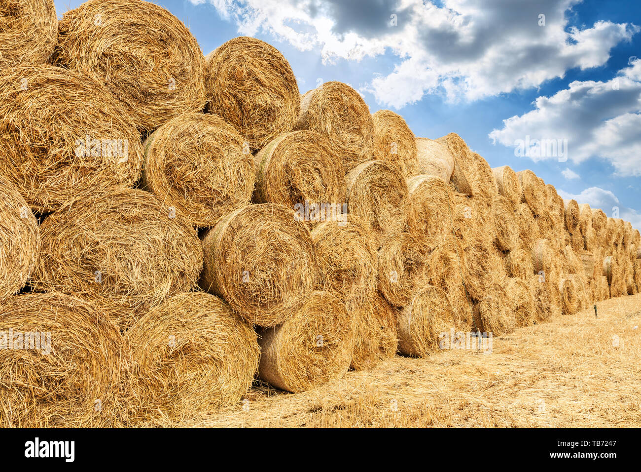 Straw bales on farmland with blue cloudy sky Stock Photo - Alamy