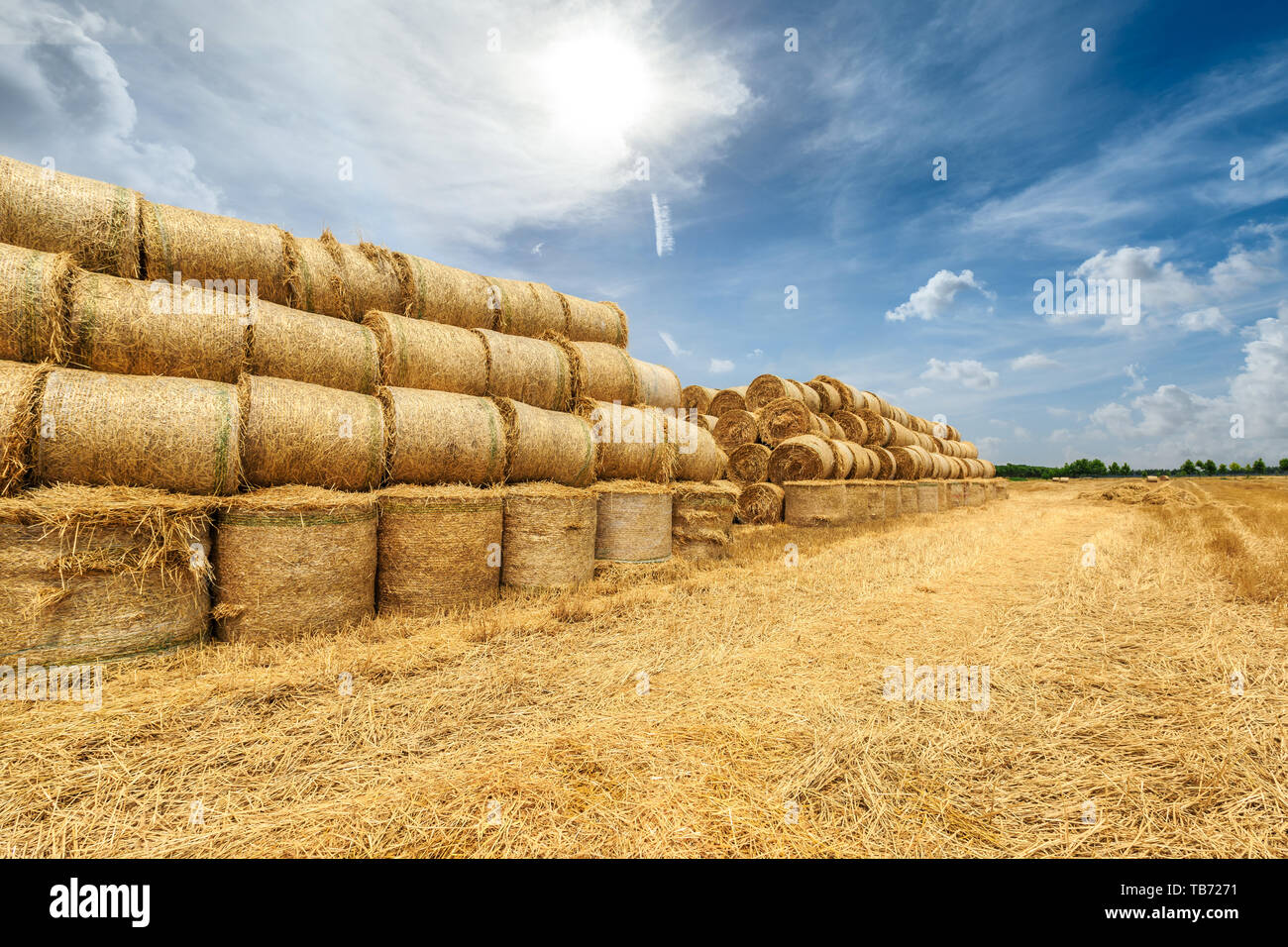 Straw bales on farmland with blue cloudy sky Stock Photo - Alamy