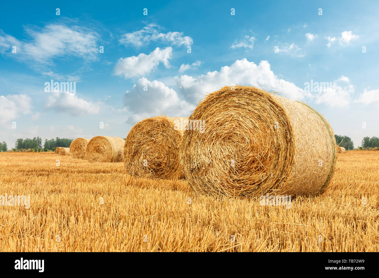 Straw bales on farmland with blue cloudy sky Stock Photo - Alamy