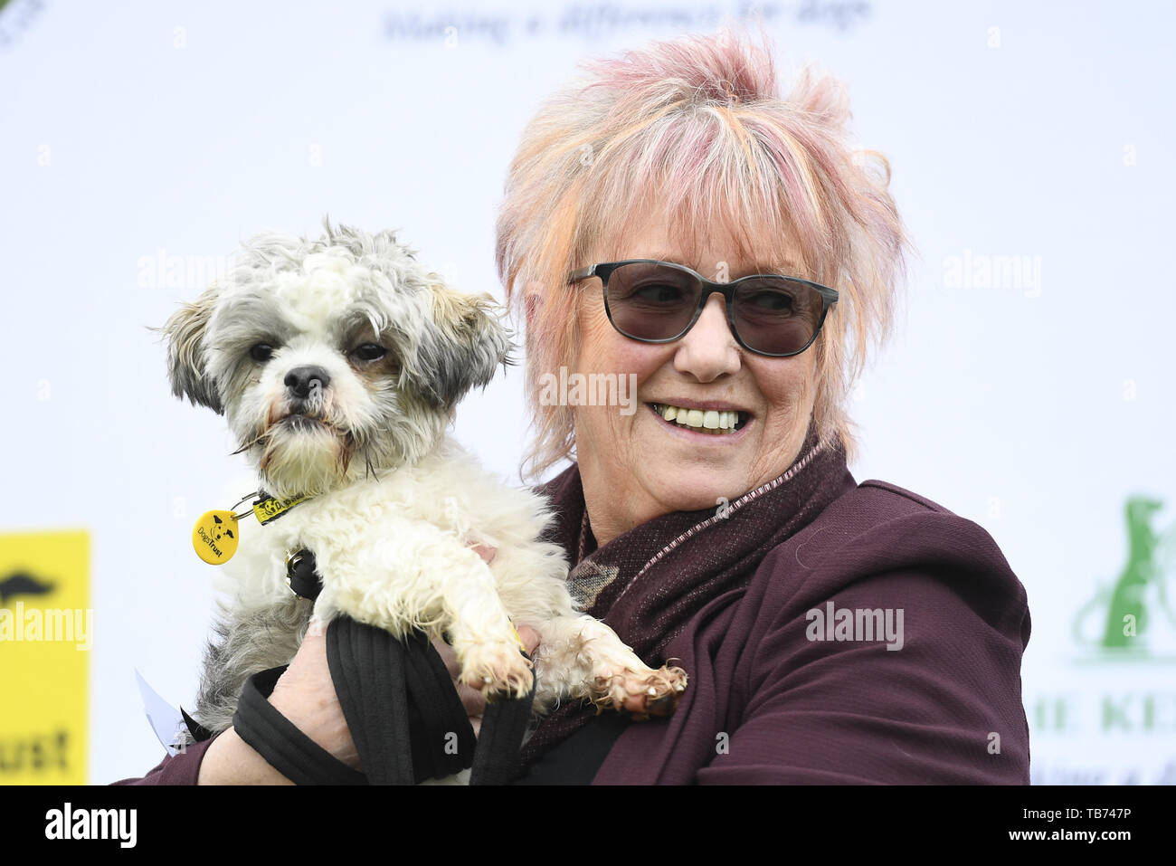 Msp's take part in the 3rd "Holyrood Dog of the Year competition" run