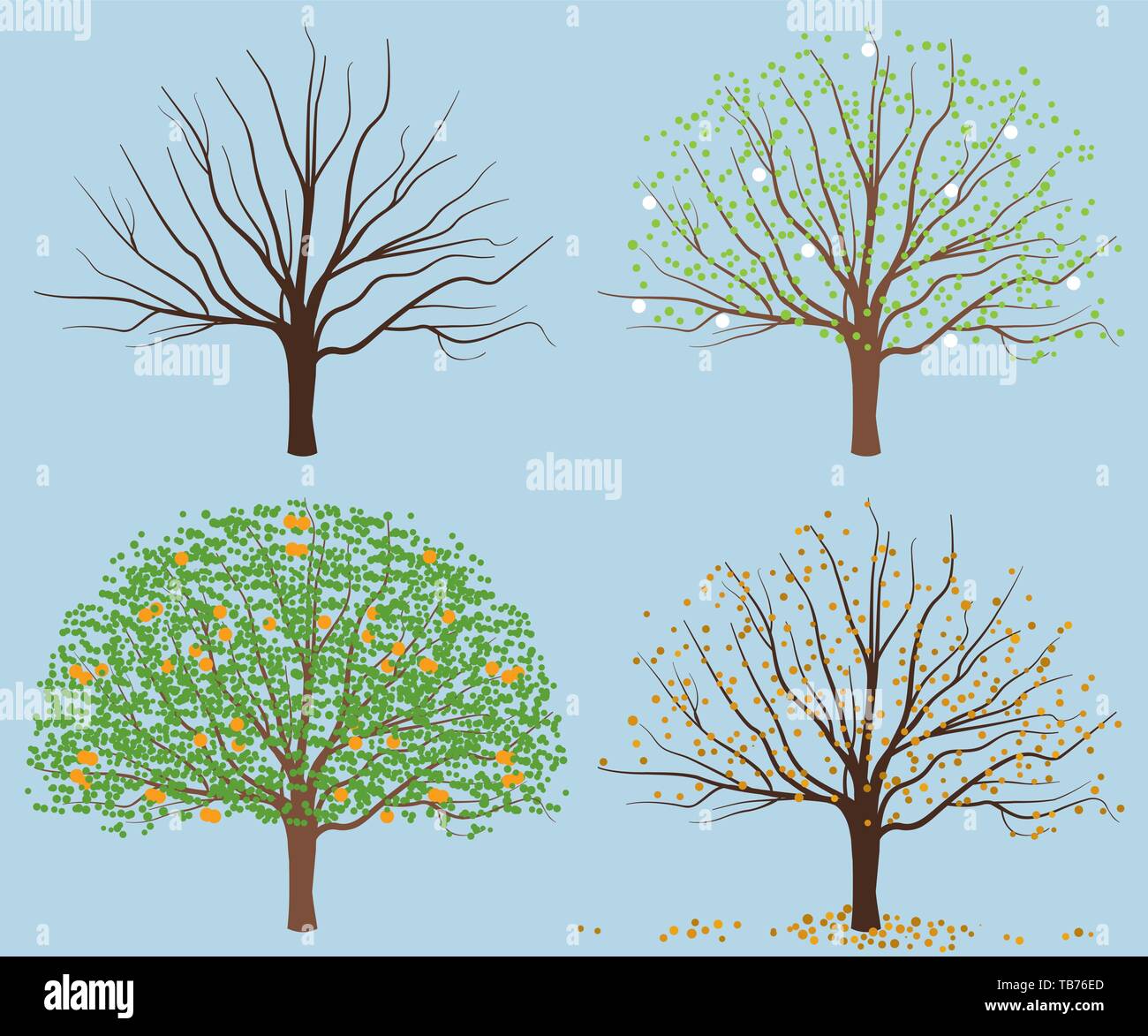 Vector illustration. Season tree. Dry, flourish with leaves and fruits Stock Vector