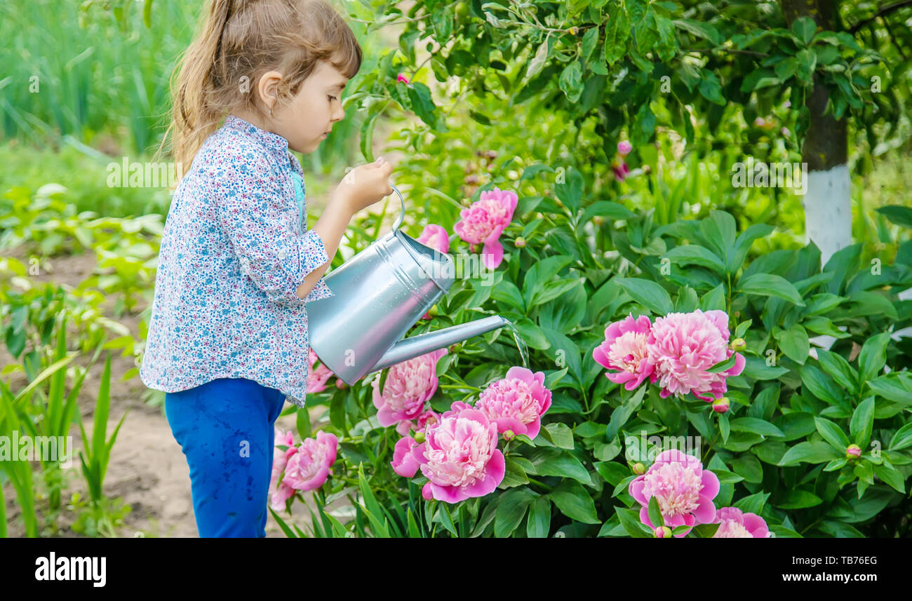 The flowers to water every day. Дети поливают цветы. Полив растений в саду. Поливать цветы в саду. Девушка поливает цветы в саду.