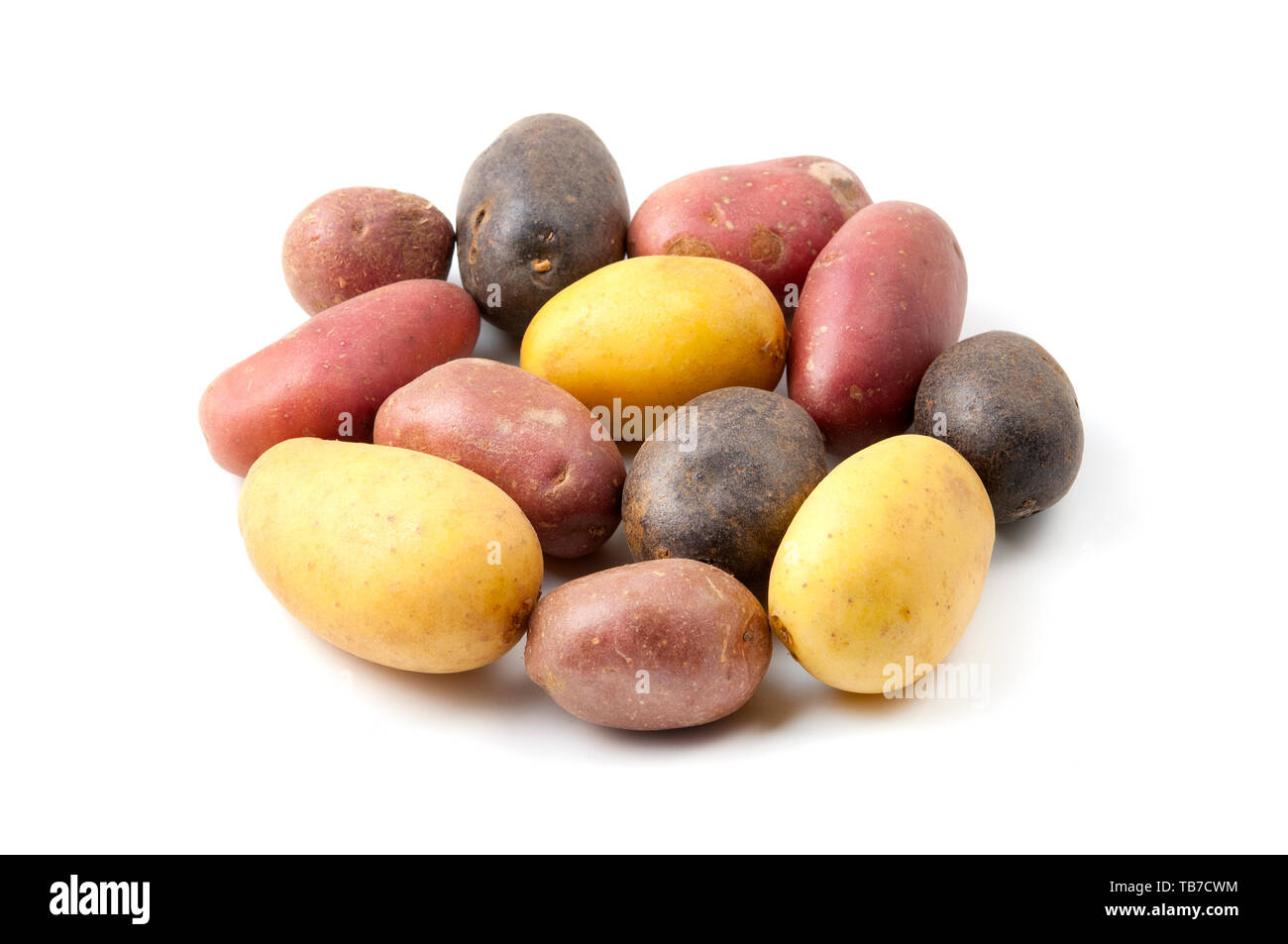 Potatoes with different pigmentation (Solanum tuberosum) on a white background Stock Photo