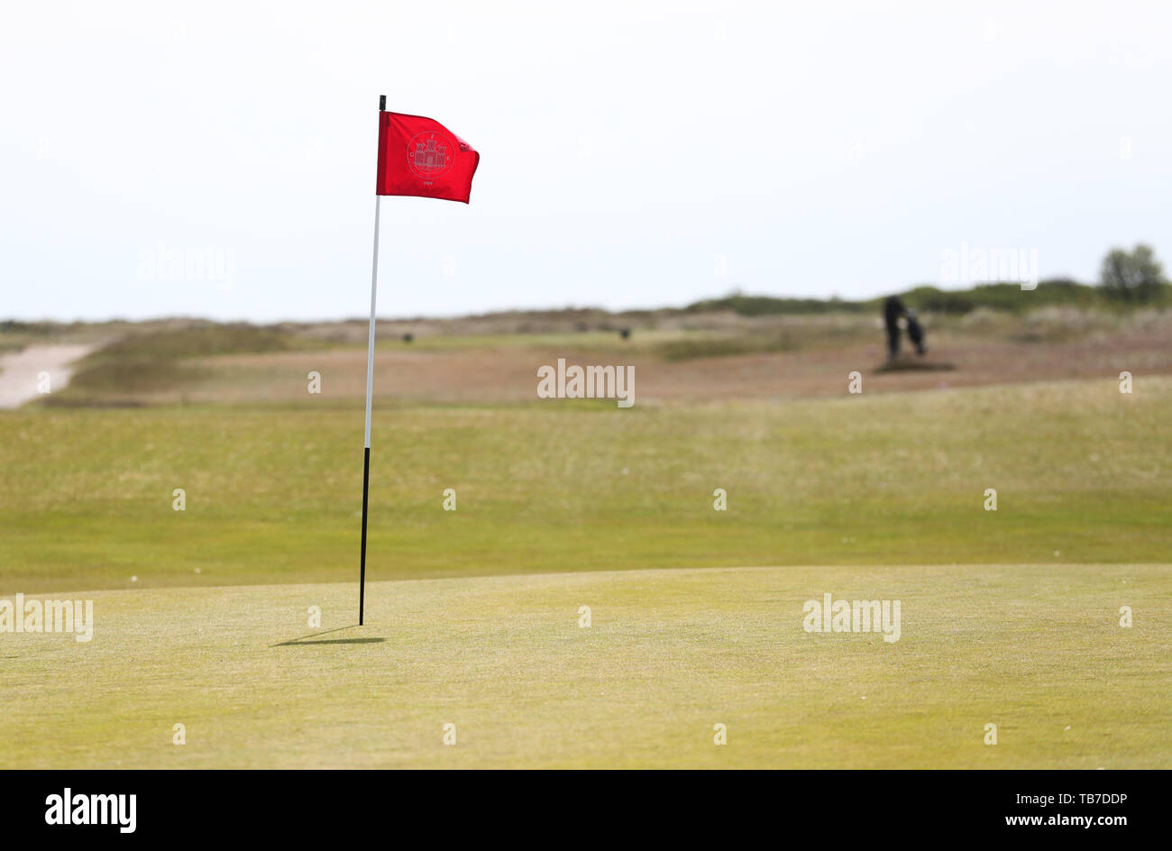 Falsterbo golf course hi-res stock photography and images - Alamy