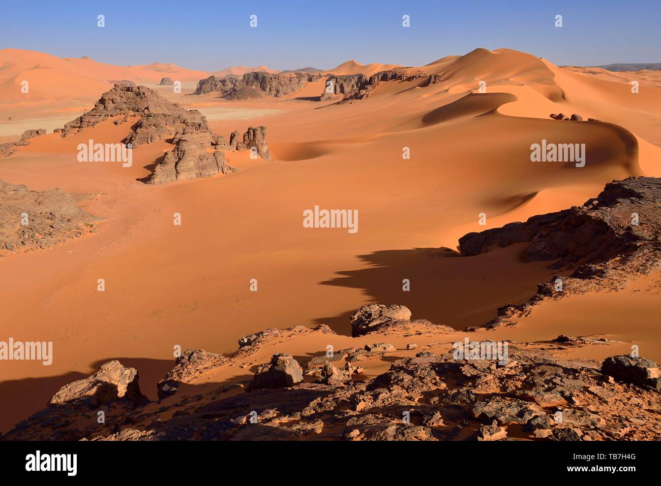 Sanddunes of Ouan Zaouatan, Tadrart, Tassili n'Ajjer National Park, Sahara, Algeria Stock Photo