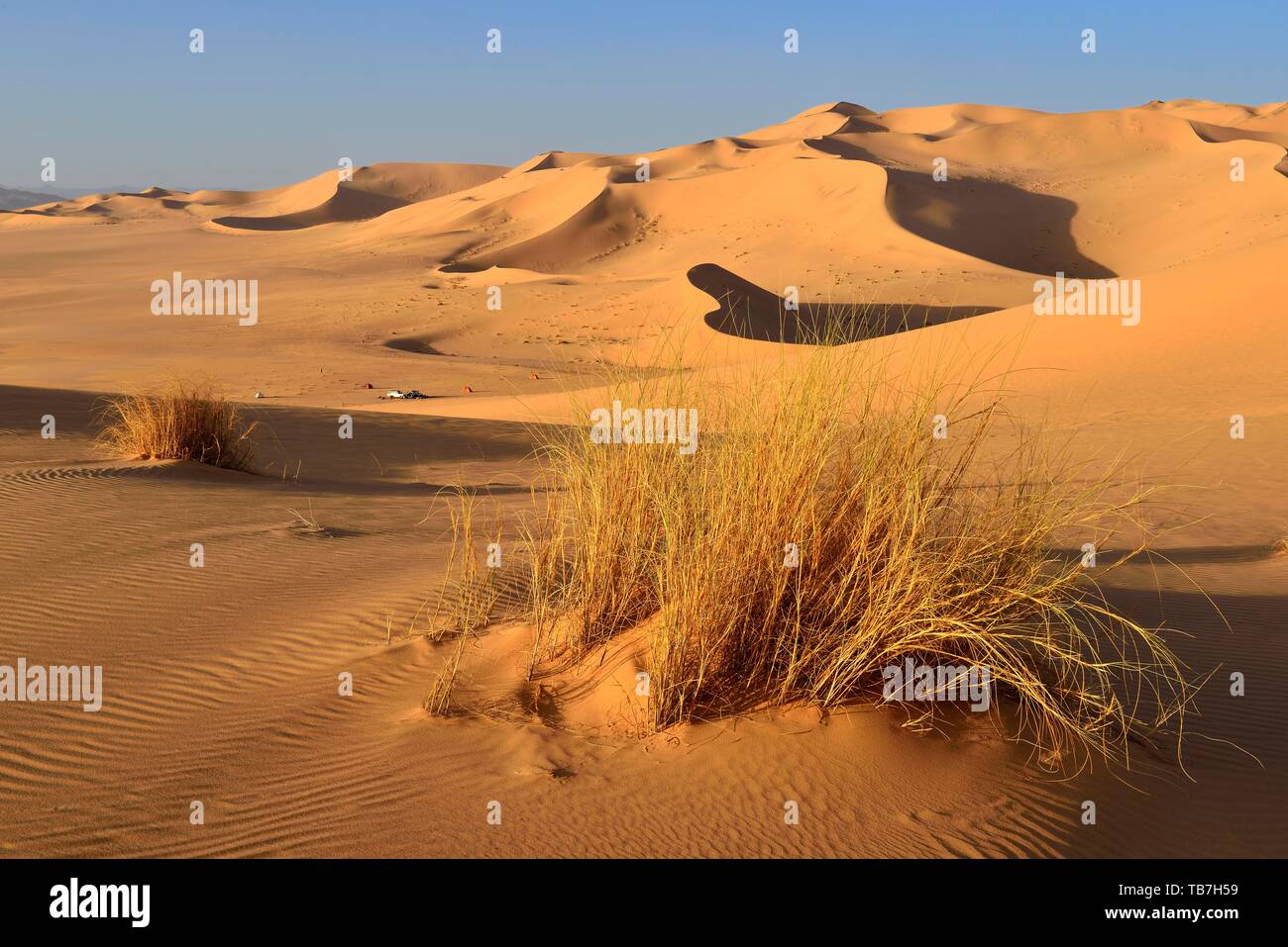 Tin Abard Sandunes, Mont Tazat, Tassili n'Ajjer National Park, Sahara, Algeria Stock Photo