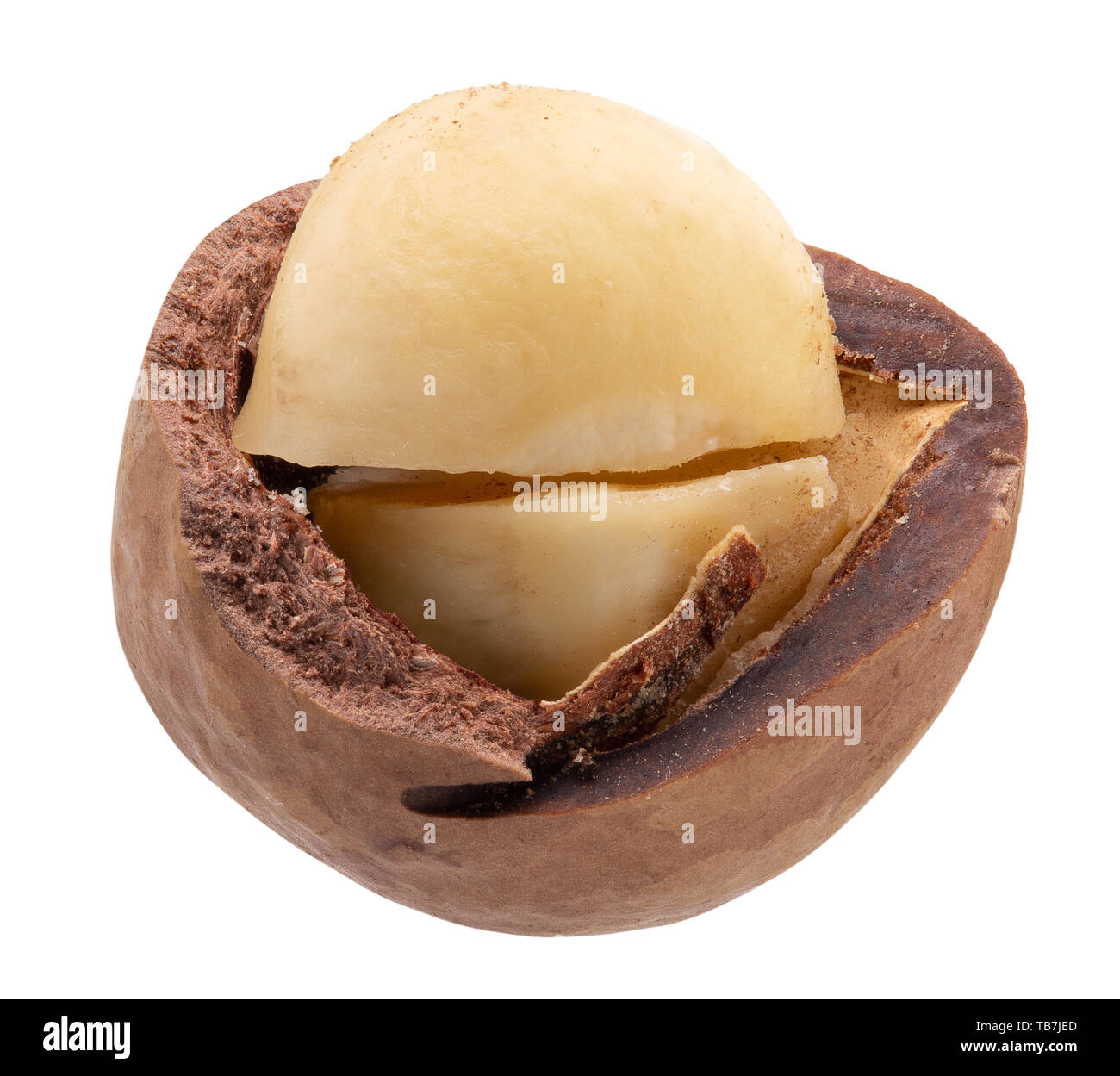 macadam nut isolated on a white background. Stock Photo