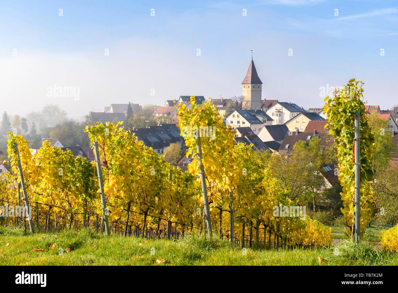 Village view of Steinreinach in autumn, Korb-Steinreinach, Remstal,  Baden-Wurttemberg, Germany Stock Photo - Alamy