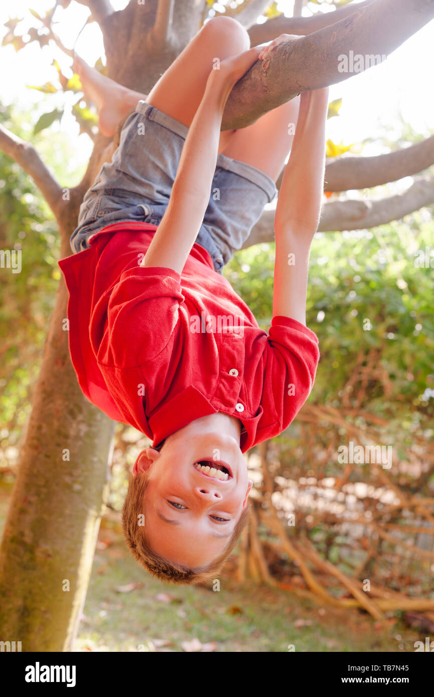 Portrait of carefree boy hanging upside down from a tree in a park enjoying summertime Stock Photo