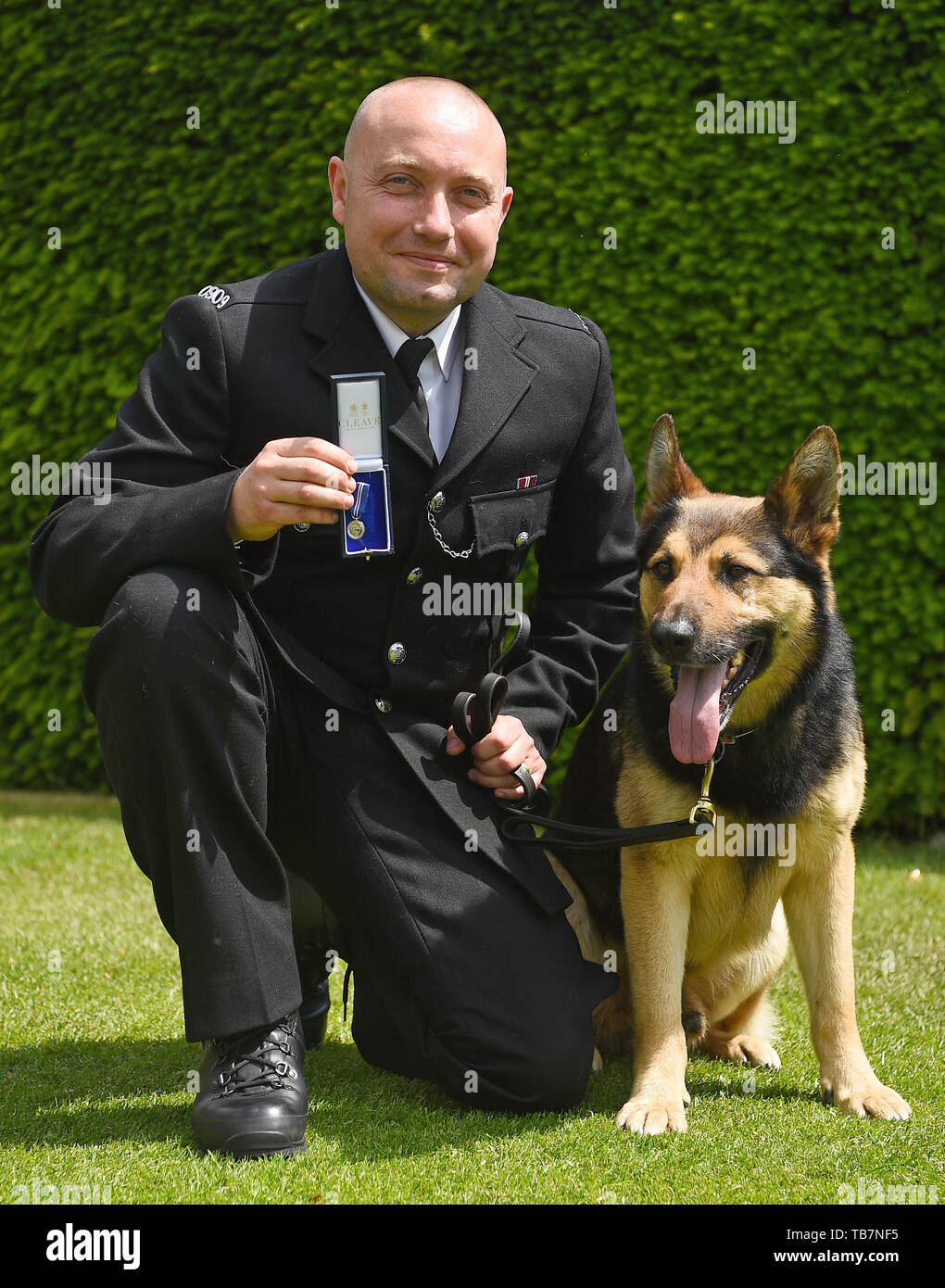 Police dog Marci, with his handler PC Neil Billany, at the Honorable Artillery Company in London receiving the PDSA Order of Merit. Nineteen hero police dogs are receiving an award for helping emergency services during the 2017 London terror attacks at Westminster Bridge, London Bridge and Borough Market. Stock Photo