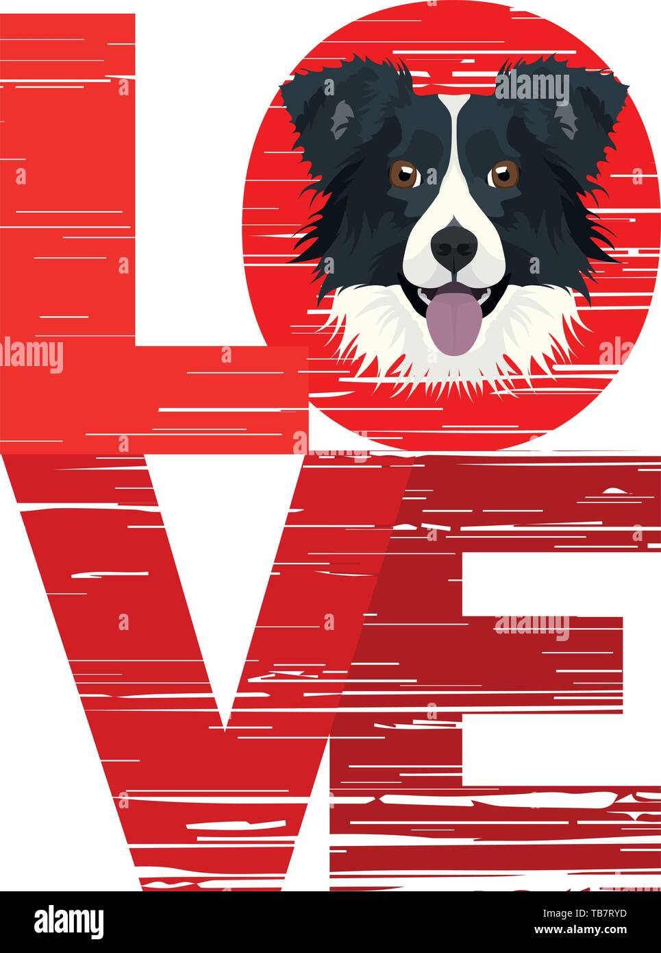 Are Border Collies Loving Dogs