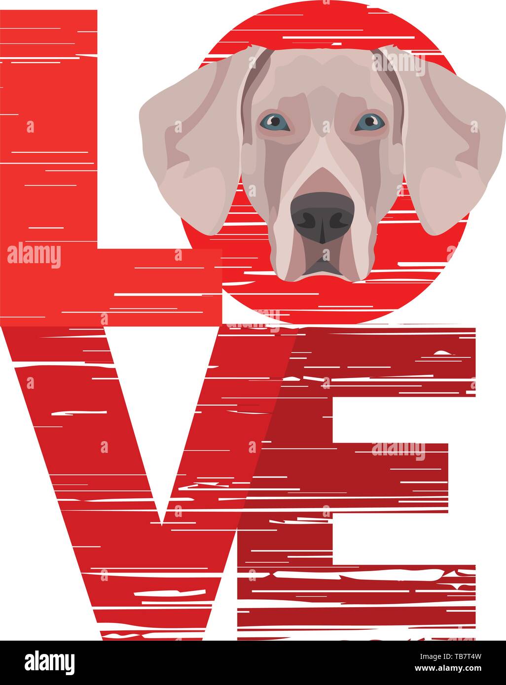 petstock id tags
