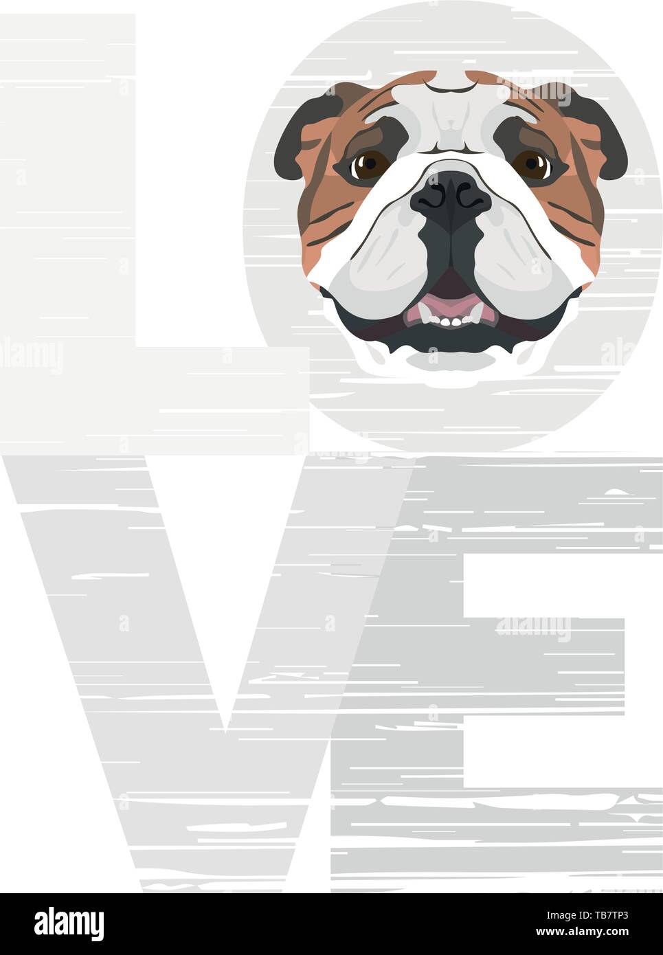 Love English Bulldog - A dog's head with the word love. The dog is man's best friend and is loved as a pet. Stock Vector