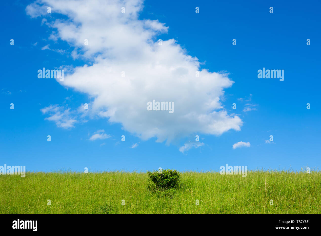 Landscape with low horizon and clouds Stock Photo