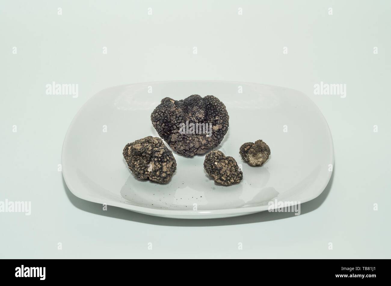 Black truffle food hires stock photography and images Alamy