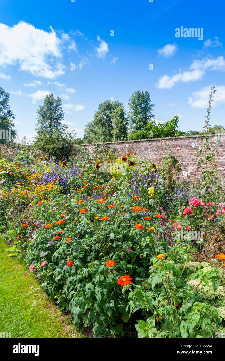 Colourful summer bedding plants in an herbaceous border in the Kitchen
