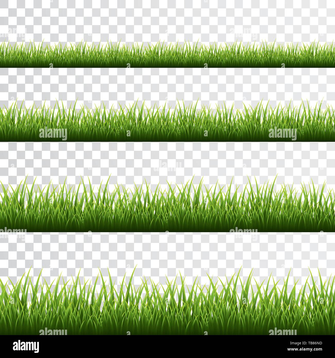 Green grass border set on white background. Vector Illustration Stock ...