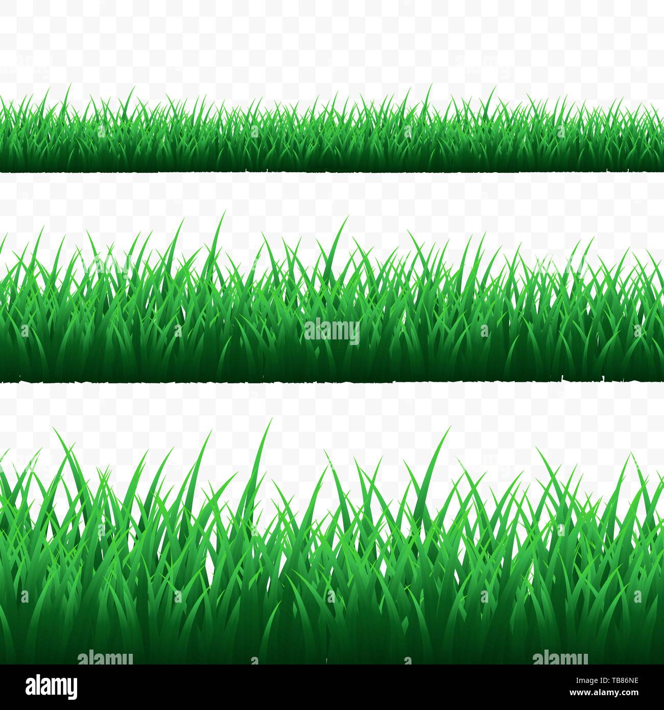 Green grass border set on transparent background. Vector Illustration ...