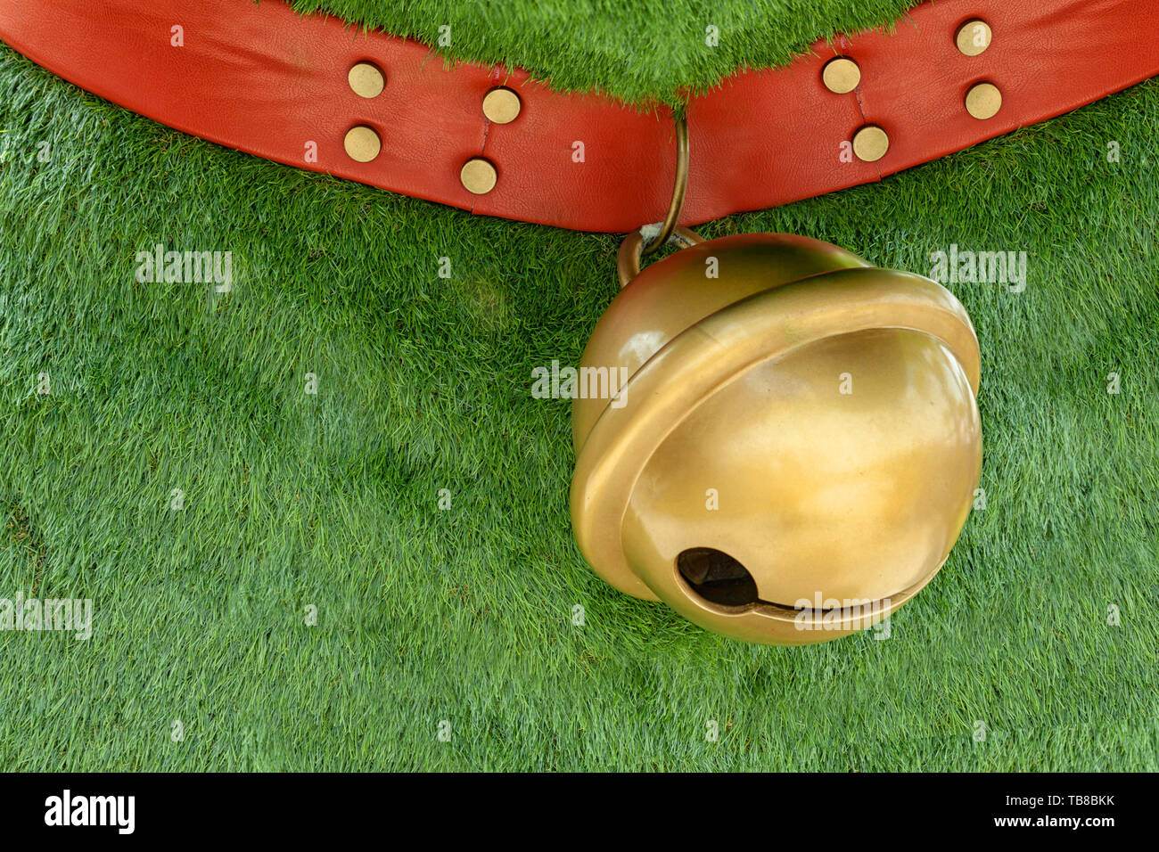 red dog collar made from leather decorate with pins hanging big golden bell on green grass background with copy space Stock Photo