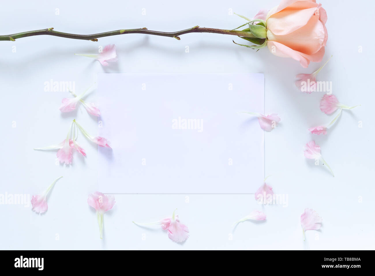 mock up invitation card with rose and pink flower petal as border frame. empty blank white card with copy space Stock Photo