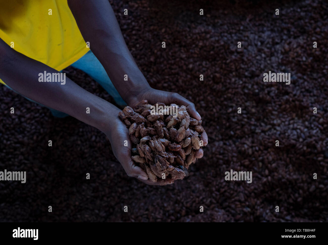 28 May 2019, Brazil, Rio Bananal An employee of the "Clave de Oro