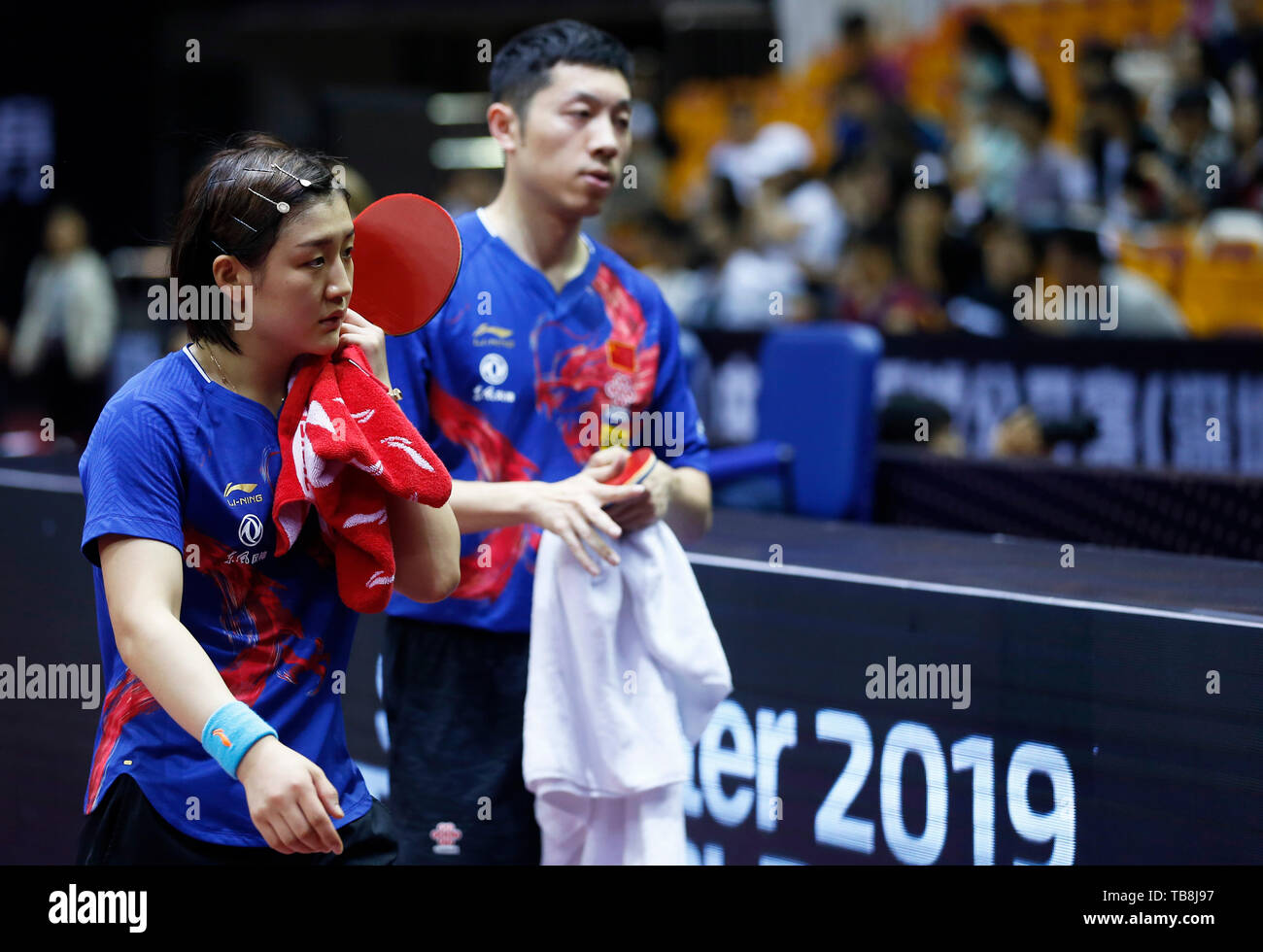 Shenzhen 31st May 2019 Xu Xin And Chen Meng L Of China - 