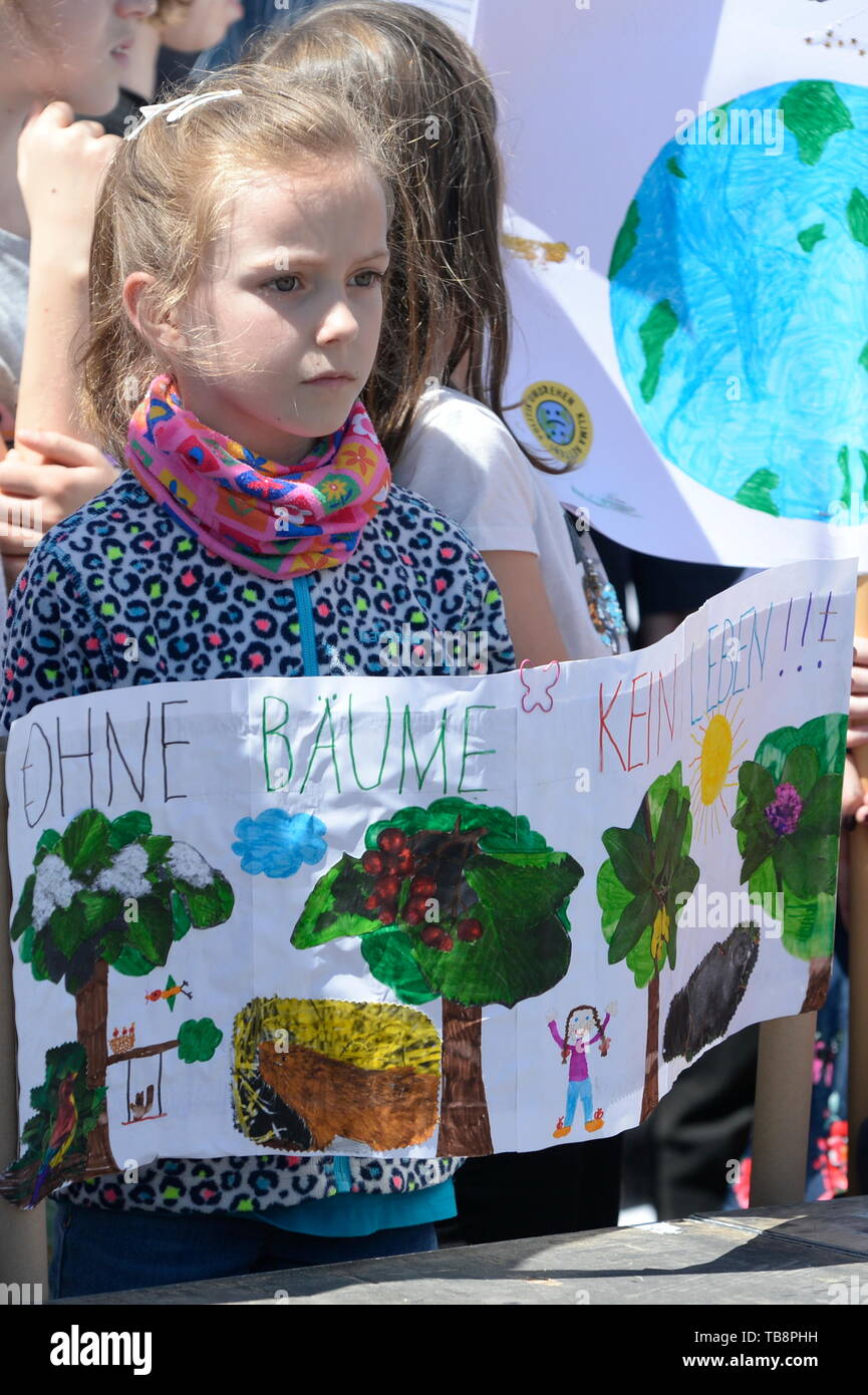 Vienna, Austria. May 31st May , 2019.  FridaysForFuture 3nd major demonstration for climate justice and courageous environmental policy on Friday, May 31, 2019 at the Heldenplatz in Vienna. Drawing with the inscription 'No life without trees'. Credit: Franz Perc / Alamy Live News Stock Photo