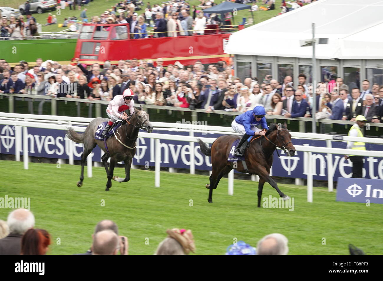 Epsom Downs, Surrey, UK. 31st May, 2019. Pinatubo beats Misty grey in the first race The Investec Woocote Stakes at the Investec Derby Festival - on Ladies Day, classic horse race. Credit: Motofoto/Alamy Live News Stock Photo