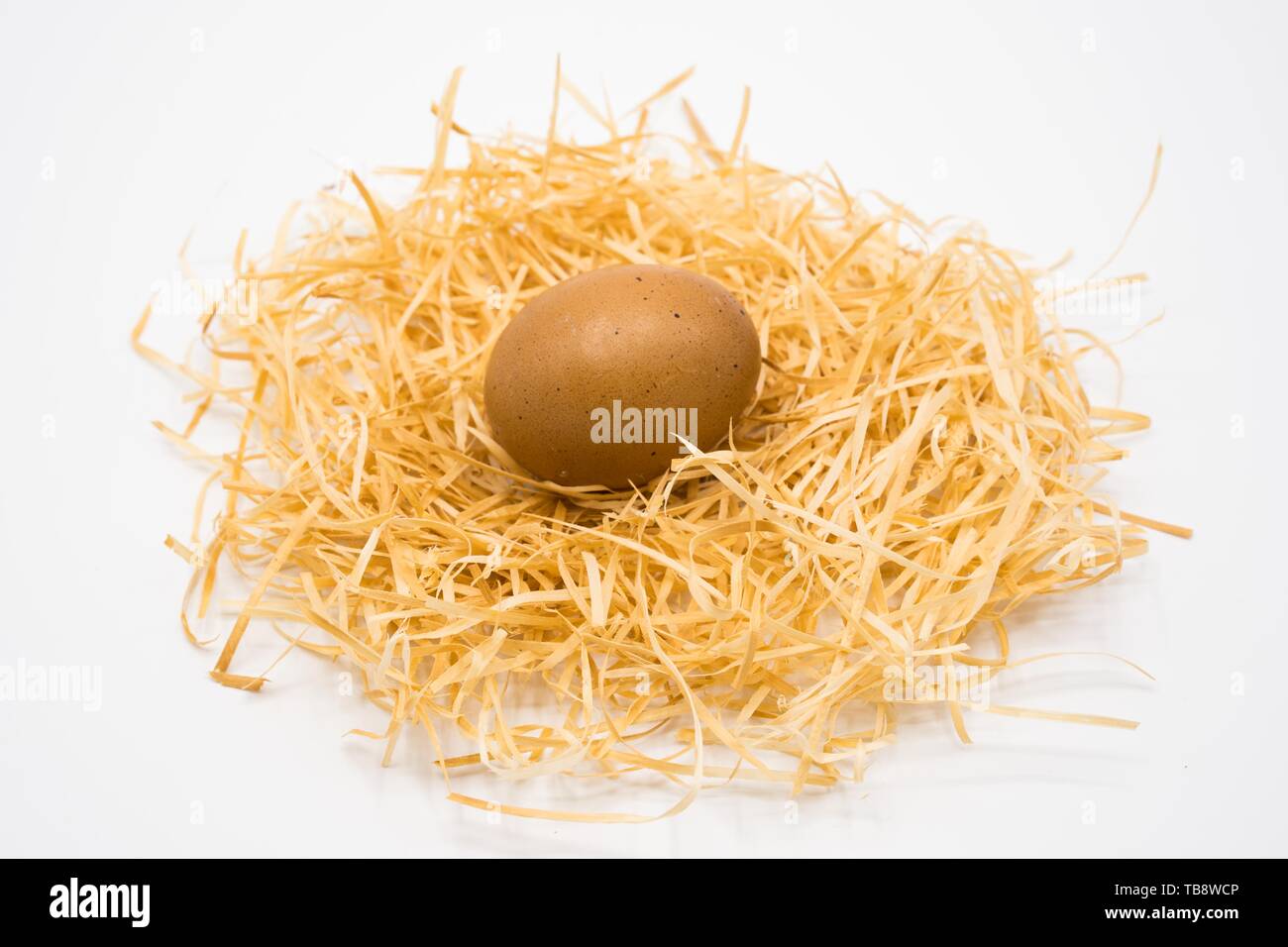 egg with nest isolated with white background shooting in studio Stock ...