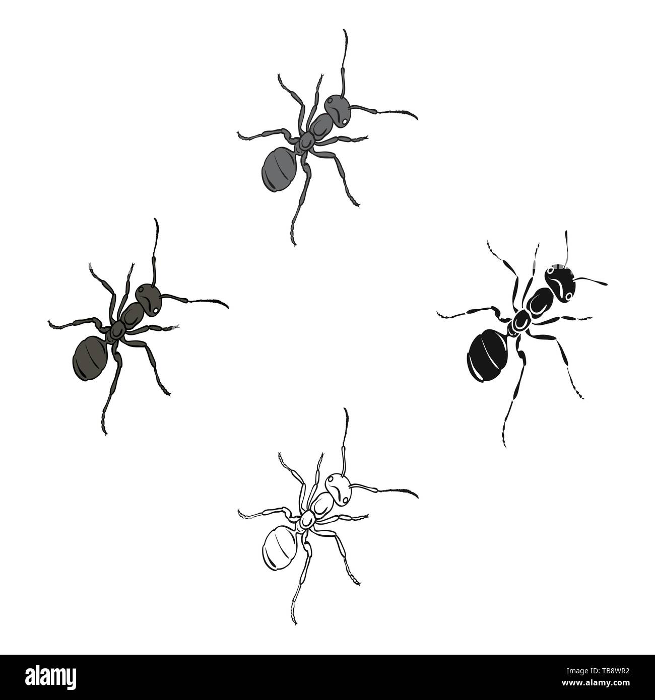 animal,ant,arthropod,cartoon,black,emmet,hymenoptera,icon,illustration ...
