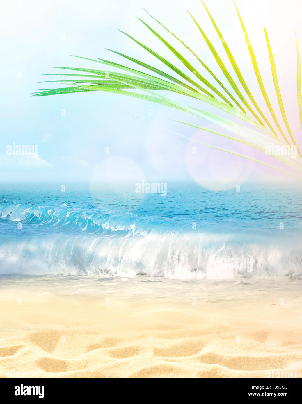 Summer beach background. Sand, palm leaf, sea and sky. Stock Photo