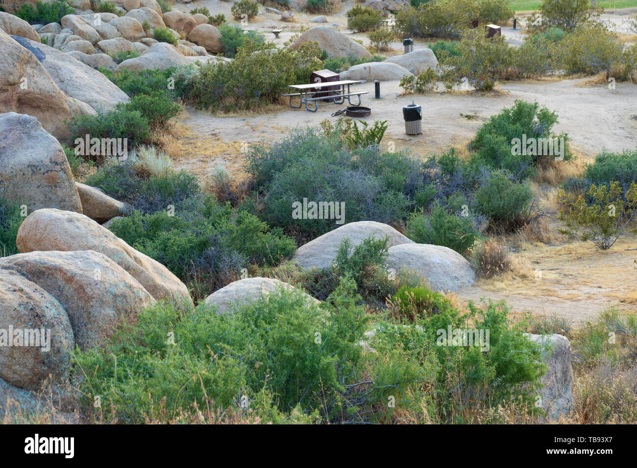 Day use picnic area at Horsemen's Center Park in the Town of Apple Valley, California, in the Mojave Desert. Stock Photo