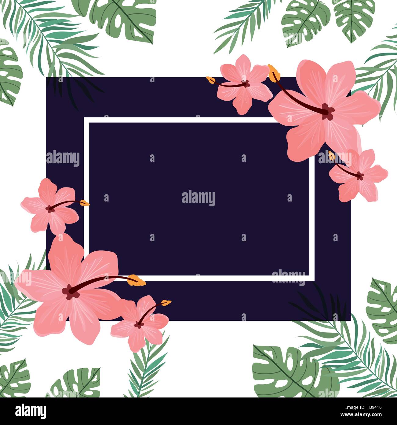 frame with flower and leafs of summer Stock Vector Image & Art - Alamy