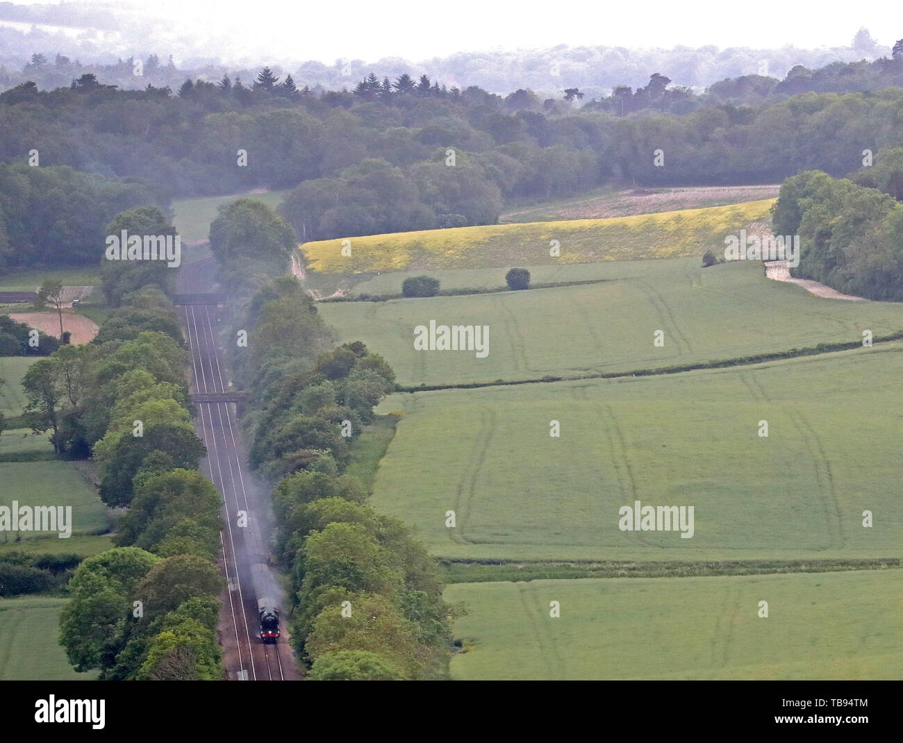 Dorking during hi-res stock photography and images - Alamy