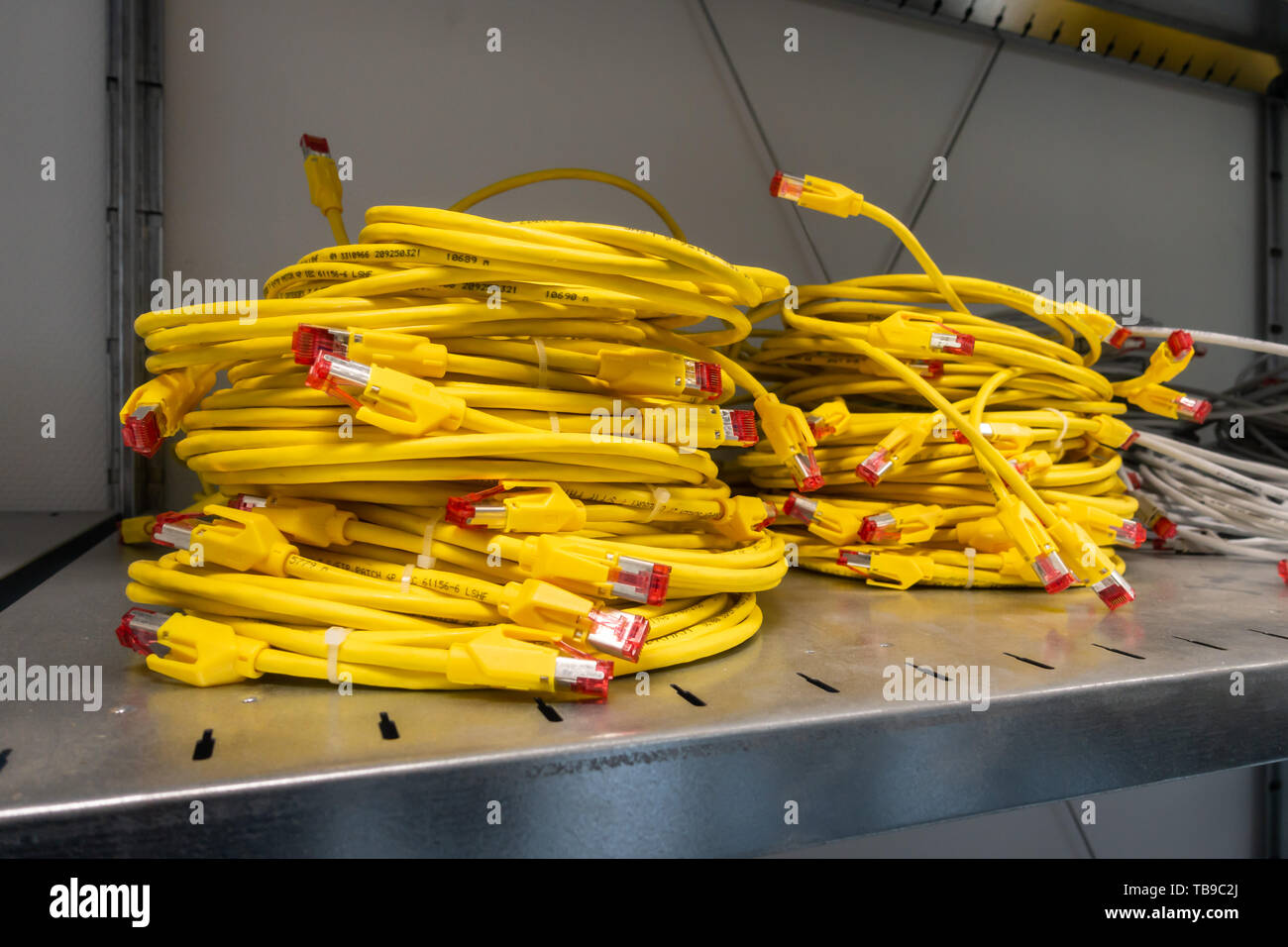 Bright Yellow Ethernet Cables Coiled and Stacked in Storage Rack Server Room Stock Photo