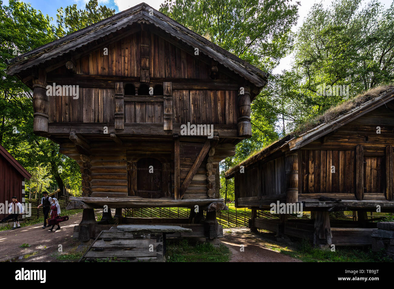 Traditional Norwegian wooden houses from Telemark region with grass on